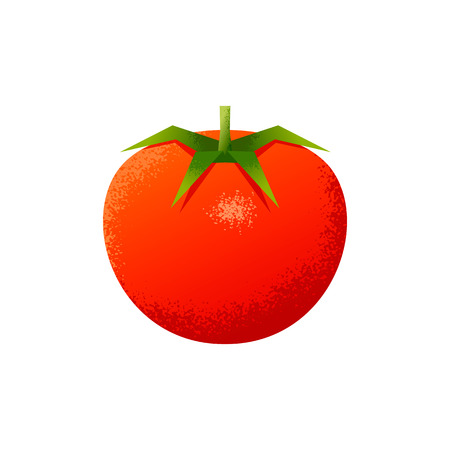 Red textured tomato vector illustration. Isolated background.のイラスト素材
