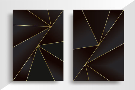 Geometric luxury pattern with gold linesのイラスト素材