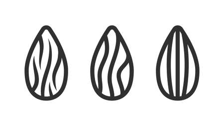 Almond organic line icon or linear style pictogramのイラスト素材