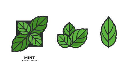 Mint green leaves icon isolated white backgroundのイラスト素材