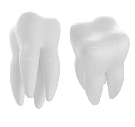 3d render of two white toothsの写真素材