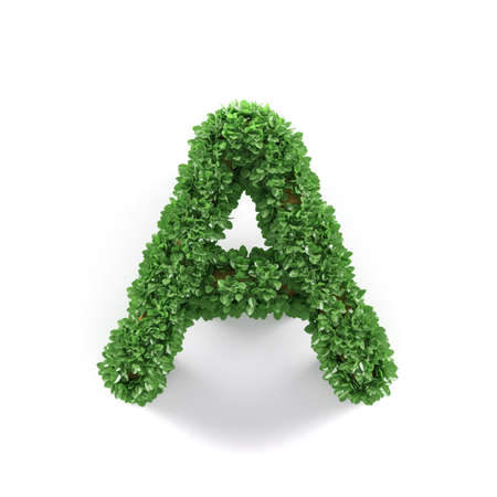 Green leaves A ecology letter alphabet font isolated on white background. 3d renderingの写真素材