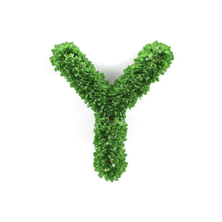 Green leaves Y ecology letter alphabet font isolated on white background. 3d renderingの写真素材