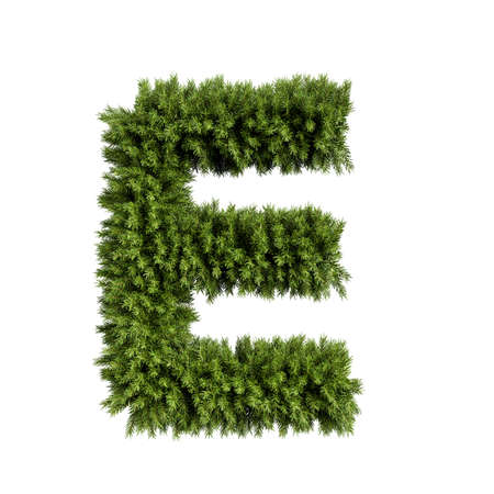 Christmas alphabet ABC character letter E font. Christmas tree branches capital letters decoration type. Highly realistic 3d rendering illustration. Text font isolated on white backgroundの写真素材