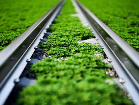 Railway in a green grass. spring green field rail way 3d rendering illustrationの写真素材