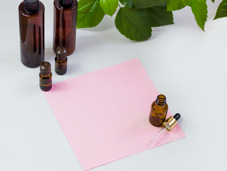 Dark cosmetic bottles and green natural leaves on a light background. Green empty card, sheet for writing. Layoutfor adding inscriptions. The concept of natural environmentally friendly cosmeticsの写真素材
