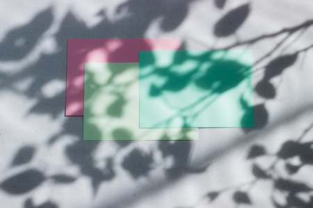 Green, pink empty card, sheet for writing. Layout for adding labels. Natural hard light, deep...
