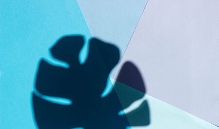 Abstract geometric background made of colored paper with harsh shadows from exotic branches of...