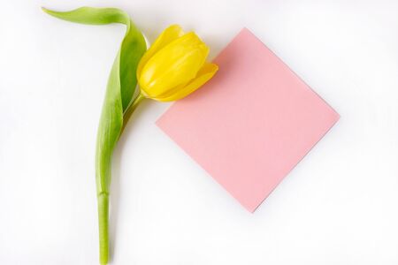 Yellow tulips and a blank card for writing on a white background.の写真素材