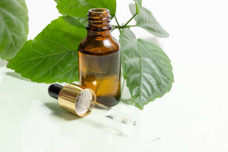 Glass cosmetic bottles with a dropper stand next to green leaves on a white background. Organic...