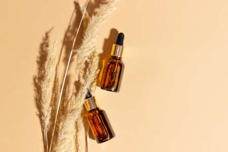 Natural cosmetics in glass bottles with a dropper on a beige background with branches. The concept of natural cosmetics, natural essential oil.の写真素材