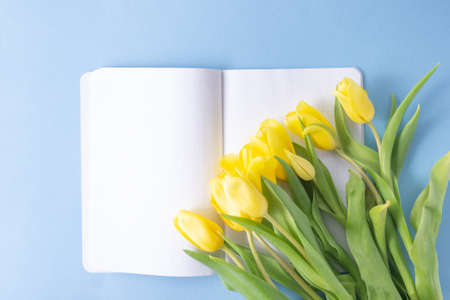 Yellow tulips flowers on blue background with an open notepad for writing. Mothers Day, Birthday,...
