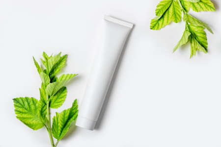 Cosmetic cream for moisturizing and cleansing the face. Cream or face mask in white tubes and leaves of natural plants. White bottle with empty spaceの写真素材