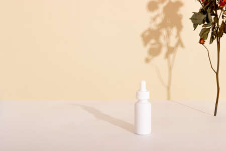 Face and body skin care products in a glass bottle with a pipette on the podium. Cosmetics for women with natural ingredients. Copy space, layoutの写真素材