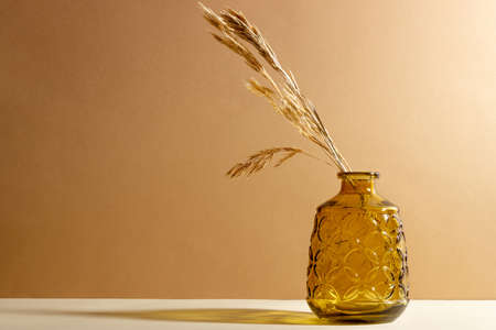 Glass transparent vase with dried flowers on a beige background with a shadow. Abstract still life with copy spaceの写真素材