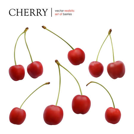 Vector illustration. Set of red realistic cherriesのイラスト素材