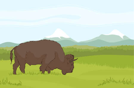 Vector illustration: One buffalo on natural mountains background. Landscapeのイラスト素材