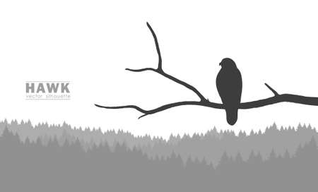 Vector illustration: Silhouette of Buzzard sitting on a dry branch in a forestのイラスト素材