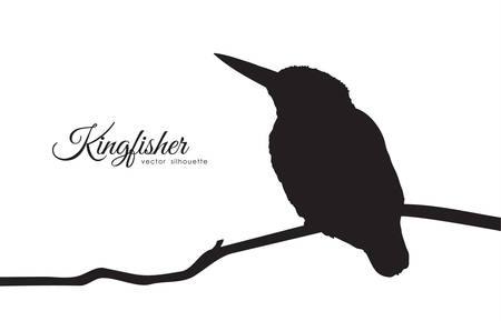 Vector illustration: Silhouette of Kingfisher sitting on a branch.のイラスト素材