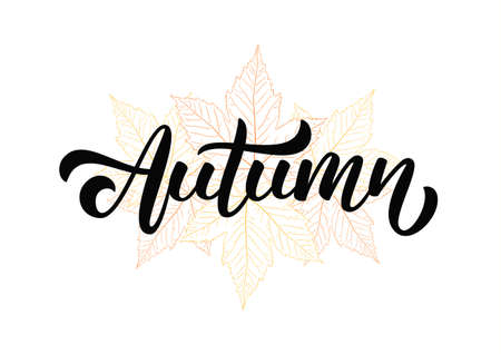 Handwritten lettering composition of Autumn on hand drawn fall leaves background.のイラスト素材