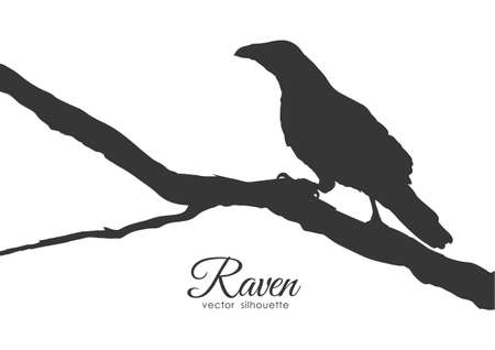 Vector illustration: Silhouette of Raven sitting on a dry branch.のイラスト素材