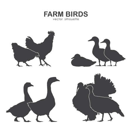 Vector illustration: Set of farm birds silhouette.のイラスト素材