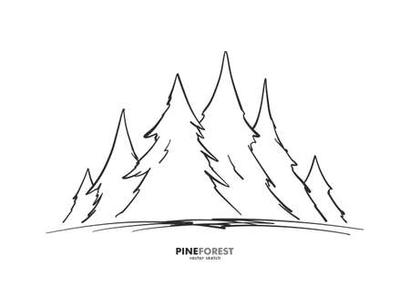 Vector illustration: Hand drawn sketch pine forest. Christmas banner or poster template.のイラスト素材