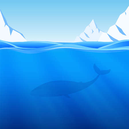 Vector illustration: Water Background with northern sea, icebergs and whale.のイラスト素材
