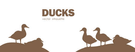 Vector illustration: Banner design with Silhouette of isolated ducks on white background.のイラスト素材