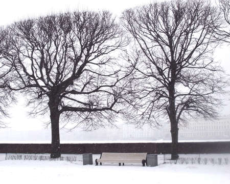 Snowfall in the big city. Winter in the city of heavy snowfall. Trees, like lace adorn the city.の写真素材