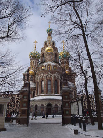 Church of the Savior on Spilled Blood. Beautiful domes against the blue sky: framed by tree branches. St. Petersburg.の素材 [FY31074089500]