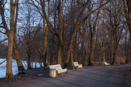 Evening in the park. The evening sun illuminates trees and buildings. Sun glare on the ice. Early spring.の写真素材