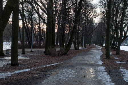 Evening in the park. The evening sun illuminates trees and buildings. Sun glare on the ice. Early spring.の写真素材