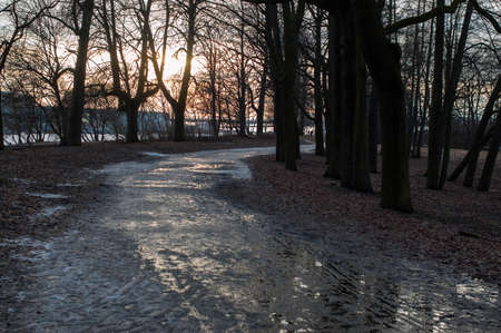 Evening in the park. The evening sun illuminates trees and buildings. Sun glare on the ice. Early spring.の写真素材