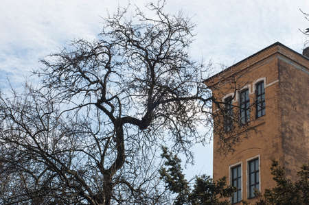 A tower against the background of a tree and a spring sky. The yellow tower and tree branches stand out nicely against the blue sky.の写真素材