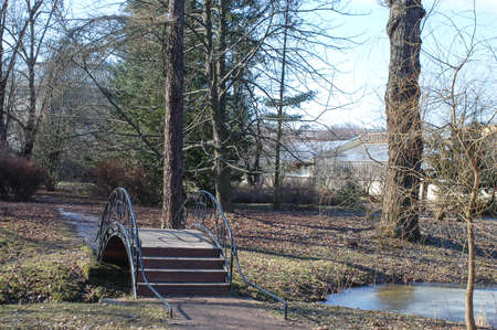 Early Spring in the city park. Sunny, spring day in the park.の写真素材