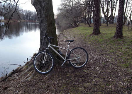 Late evening evening in the park. Sunset in the park, glare of the setting sun. Waiting for the heat.の写真素材