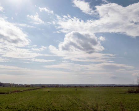 Quiet landscape. Fields to the horizon.