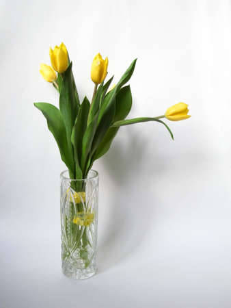 A bouquet of yellow tulips. Five yellow tulips are placed in a vase and tied with a yellow ribbon. White background, natural light.の写真素材