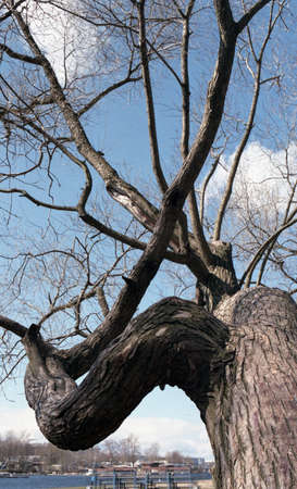 Rest in the park. Spring in the park, rest on the water.の写真素材