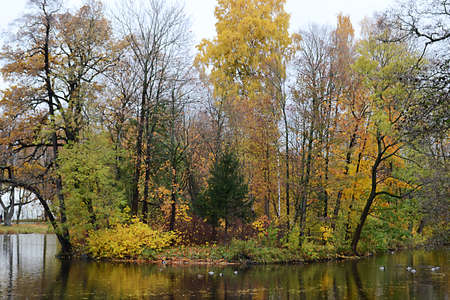Trees over a pond in an autumn park. Golden autumの写真素材