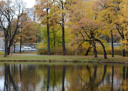 Trees over a pond in an autumn park. Golden autumの写真素材
