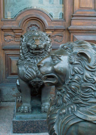 The city is the territory of lions. Lions on the streets.の写真素材