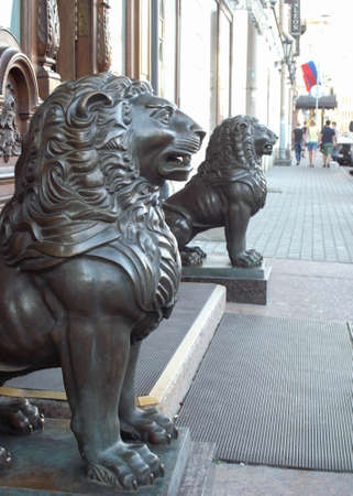 The city is the territory of lions. Lions on the streets.の写真素材