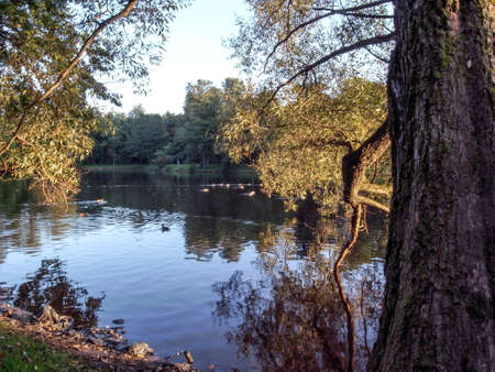 Early Autumn, Elagin Park, St. Petersburg, Russia.の写真素材