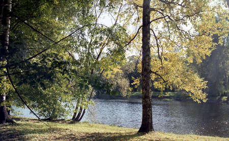 Pictures of autumn. Autumn nature in the city.の写真素材