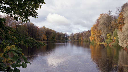 Pictures of autumn. Autumn nature in the city.