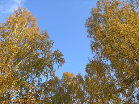 Russian autumnの写真素材