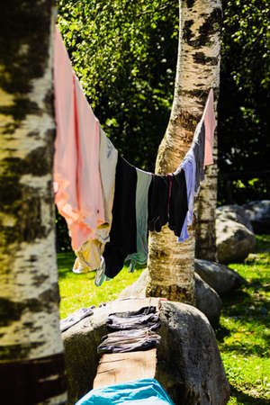 Different colored clothes hung out to dry between two trees at a campsite after a hand wash on a sunny day.の写真素材
