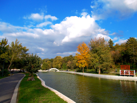 A walk in the parkの写真素材